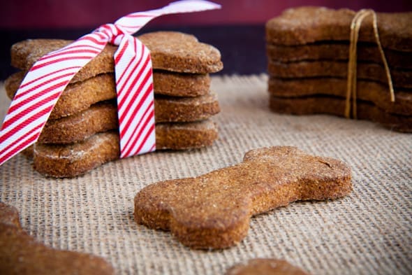 dog recipe