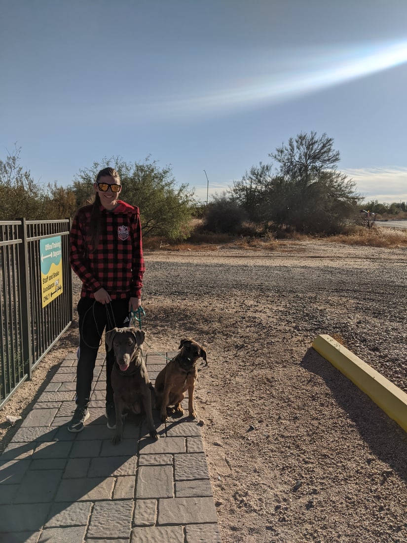 A client arrives with their dog at the fenced desert facility entrance, ready to start a training path.