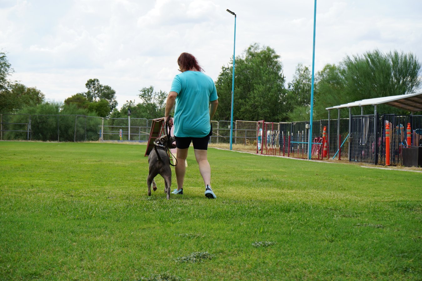 Wide establishing shot of a handler walking a dog across the Cave Creek grounds, inviting visitors to see the Arizona camp in person.