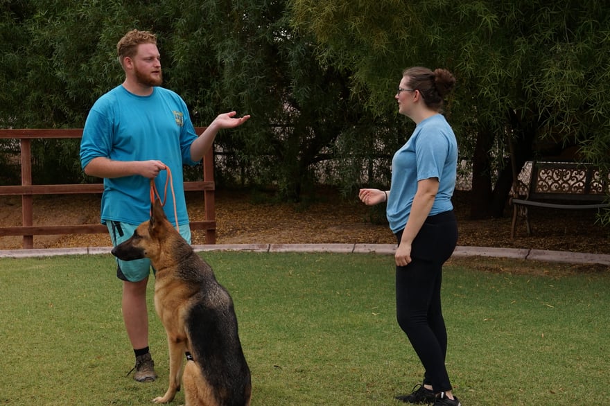 A Partners Dogs trainer coaches an owner hands-on with her dog on the outdoor training field.