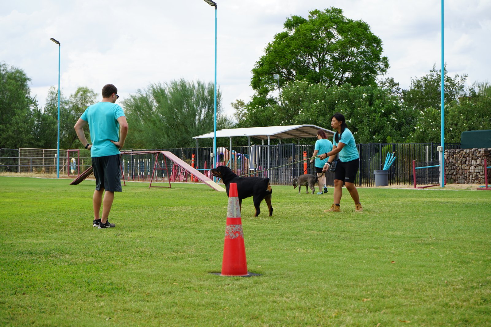 On the grass training field a male handler and a female trainer in teal work a black Rottweiler around a cone, with agility equipment and more staff and dogs behind.