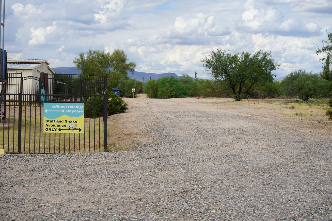 Sonoran desert facility entrance with a Staff and Snake Avoidance Only yard sign, saguaro cacti and distant mountains