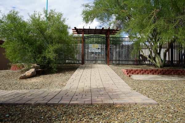 Climate-controlled luxury boarding suites at Partners Dogs Scottsdale