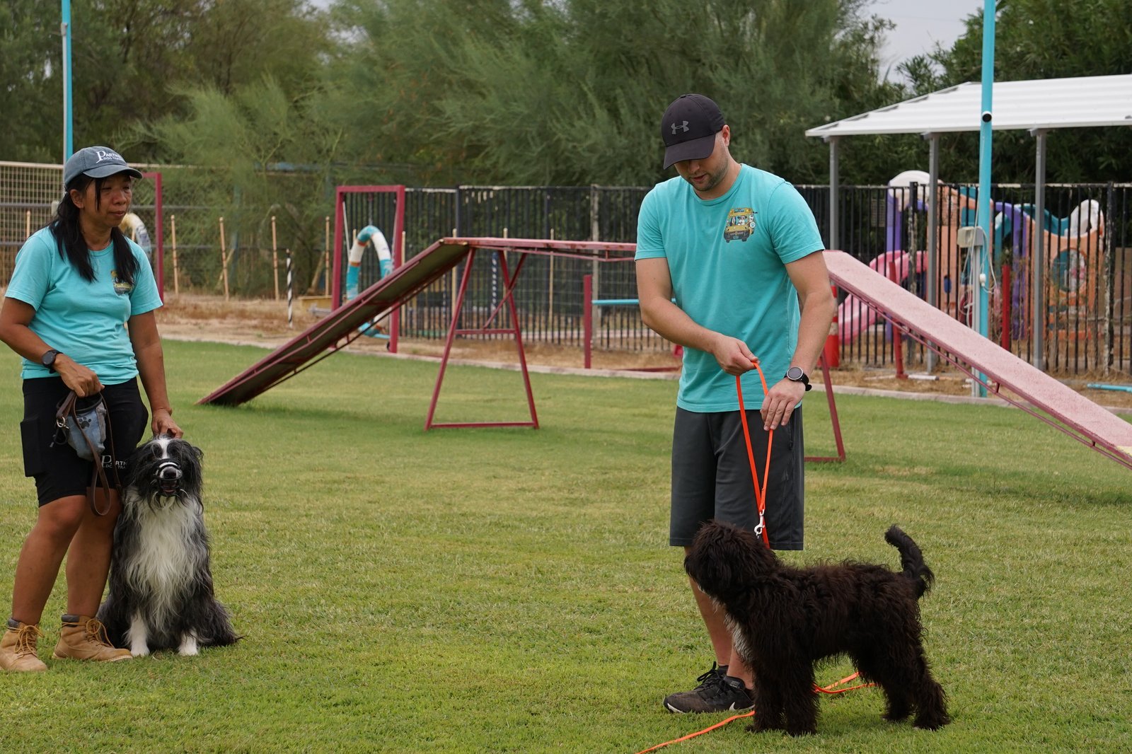 Two Partners Dogs trainers in branded teal shirts working with two dogs on the outdoor training field.