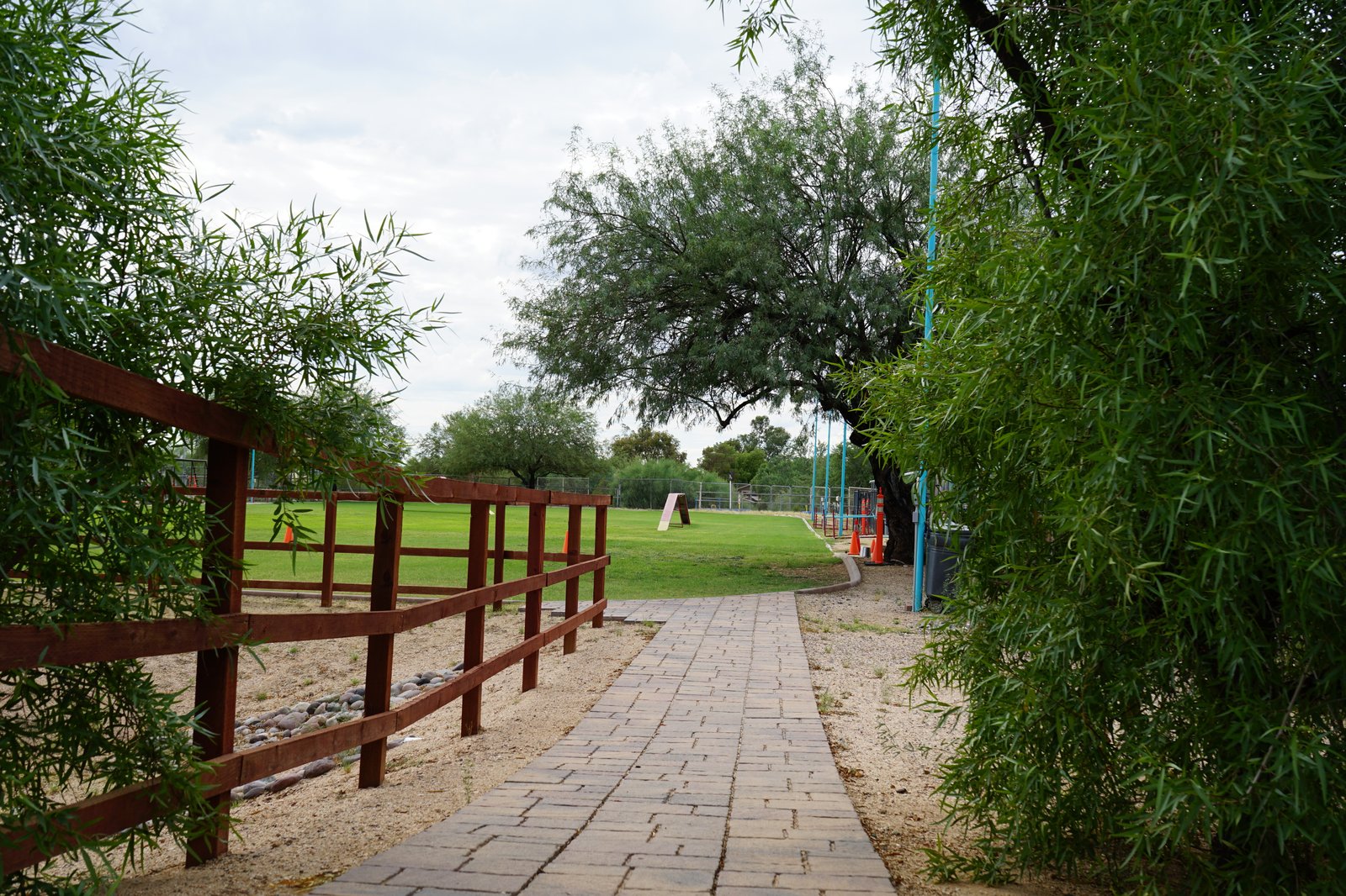 What Arizona Families Say About Partners Dog School