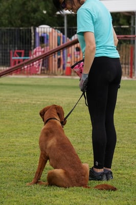 trainer working one-on-one with dog during private lesson