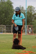 Partners Dogs trainer in a teal cap and shirt working one-on-one with an adult black curly-coated dog in a down-stay on an outdoor training field during a private lesson.