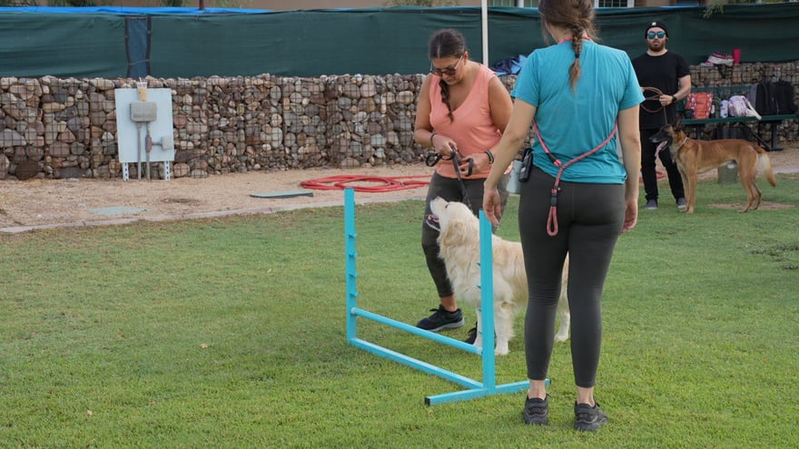 Outdoor agility training on the Cave Creek grass field