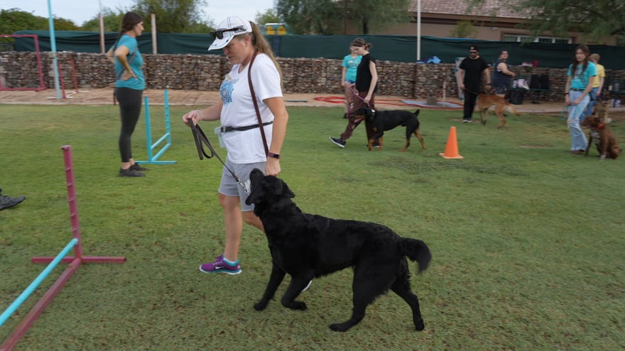 Handler guiding a black retriever past colorful jump standards during an outdoor agility class at Cave Creek