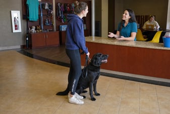Smiling Partners Dogs staff member greeting a pet parent and her relaxed adult black Labrador at the bright Scottsdale front-desk reception counter