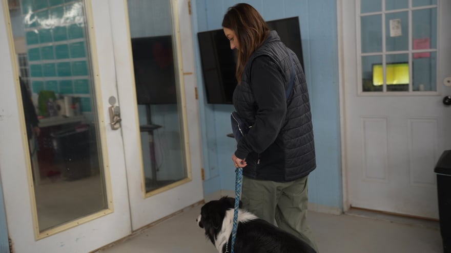 A handler in a vest works a Border Collie on leash near the glass doors, rehearsing polite behavior around real distractions.