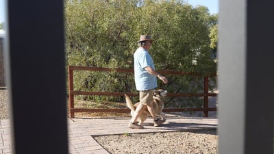 Older gentleman in a straw hat walking a yellow Labrador on leash along a shaded paver path