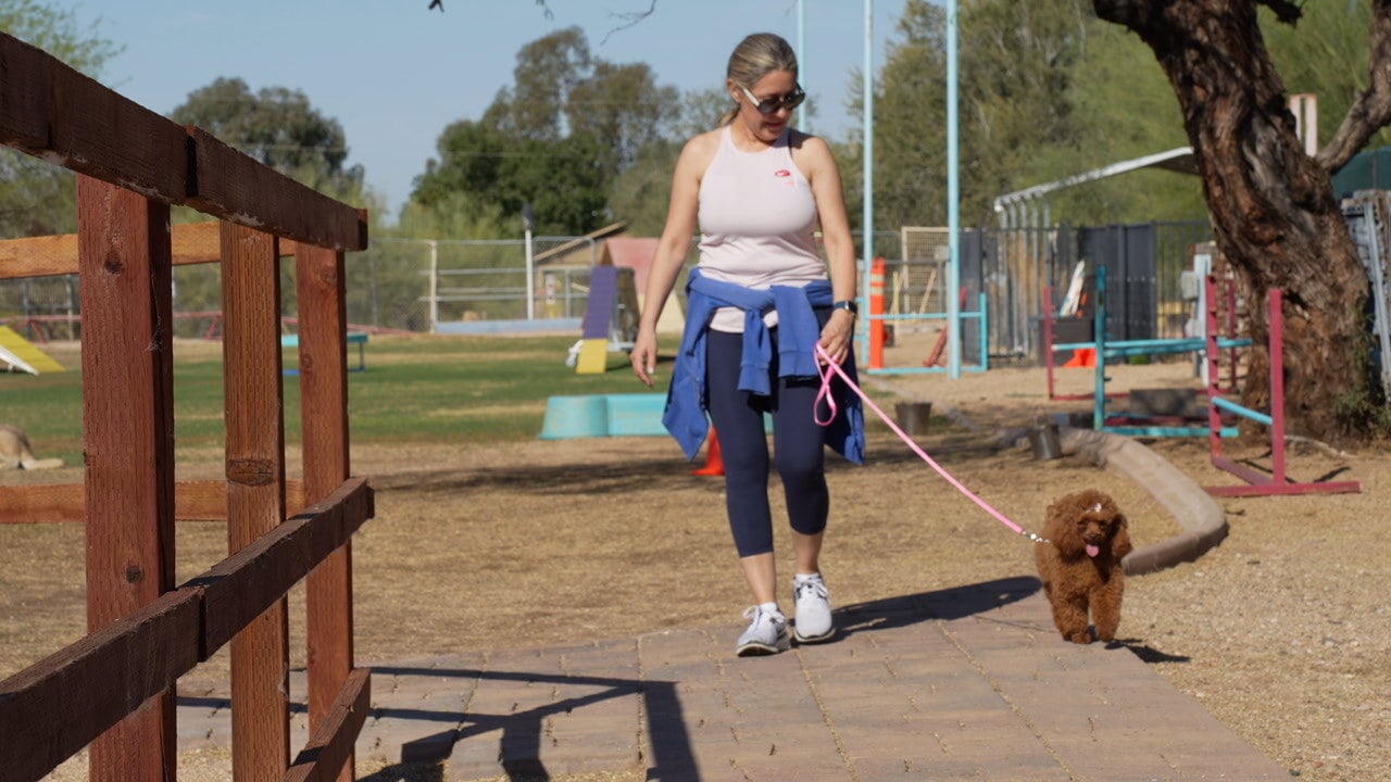 An outdoor group class at the Cave Creek campus where a handler walks a doodle on leash among other dogs and handlers on the desert grass.
