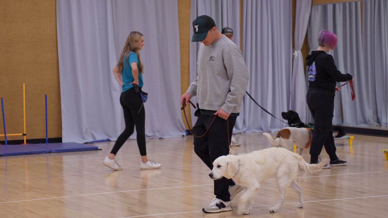 A handler in a cap heels a yellow Lab on leash indoors during a Scottsdale class with another handler behind.