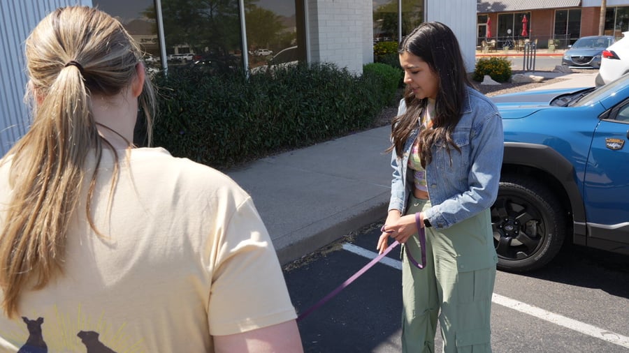 Owner guiding a dog on a leash outdoors near a curb during a real-world session