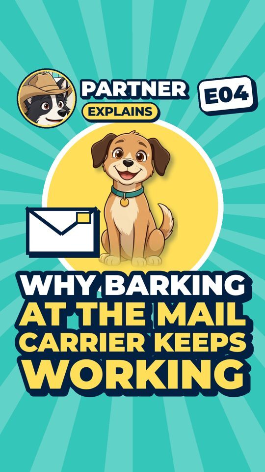 Partner Explains cartoon cover: Why barking at the mail carrier keeps working.