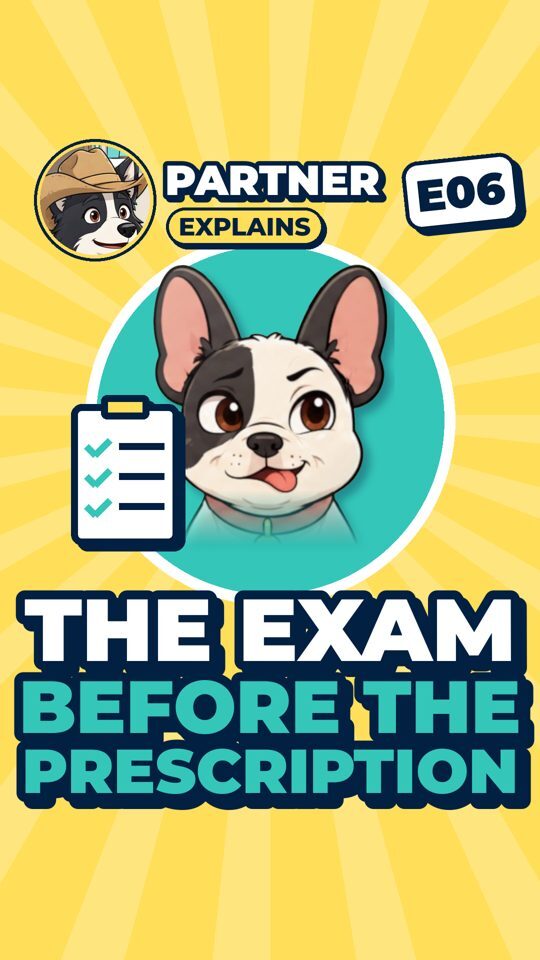Partner Explains cartoon cover: The exam before the prescription.