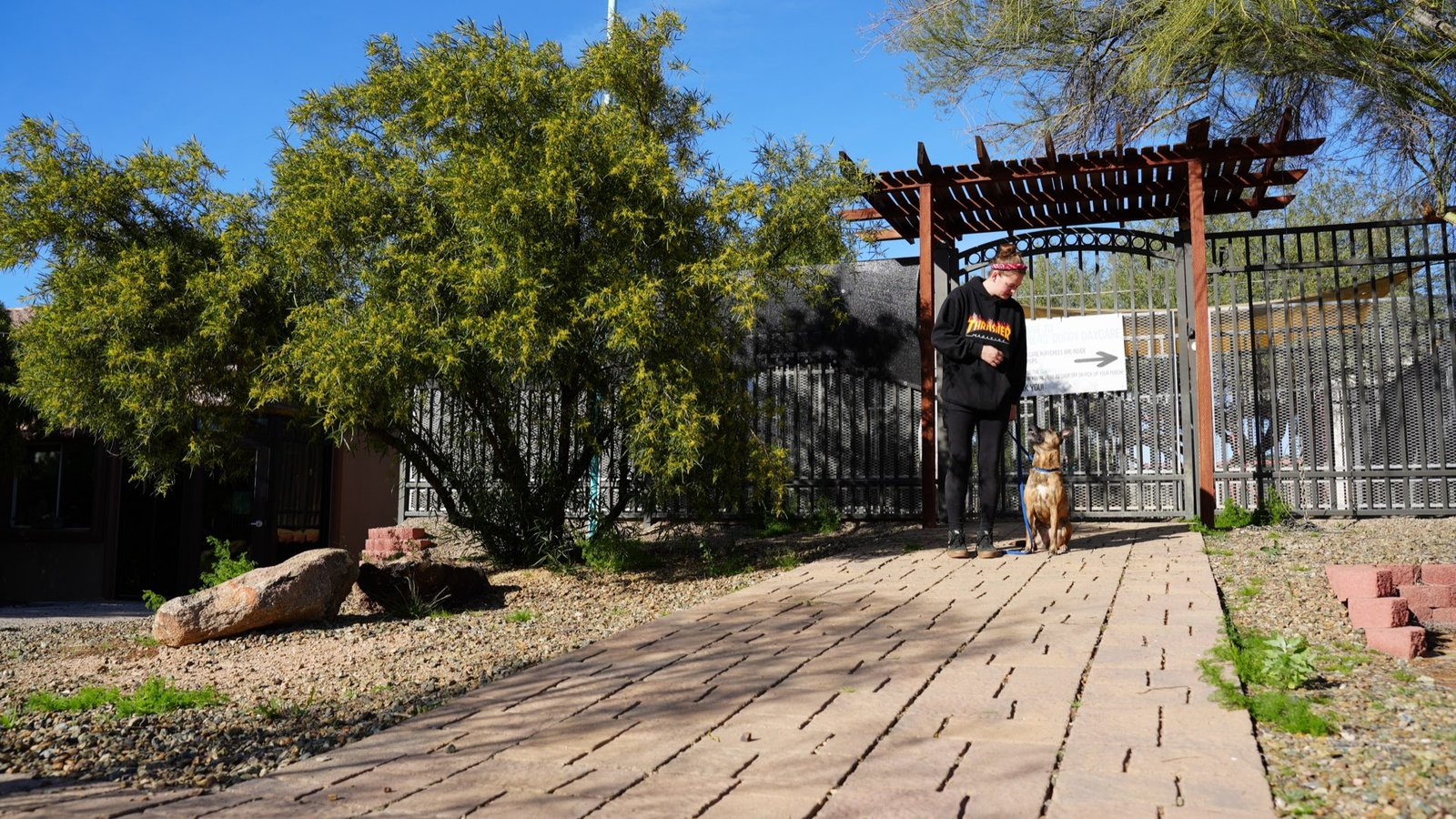 The Cave Creek facility entrance with a shade ramada and a staff member greeting a small dog among desert trees, a short run over Carefree Highway from Desert Hills.
