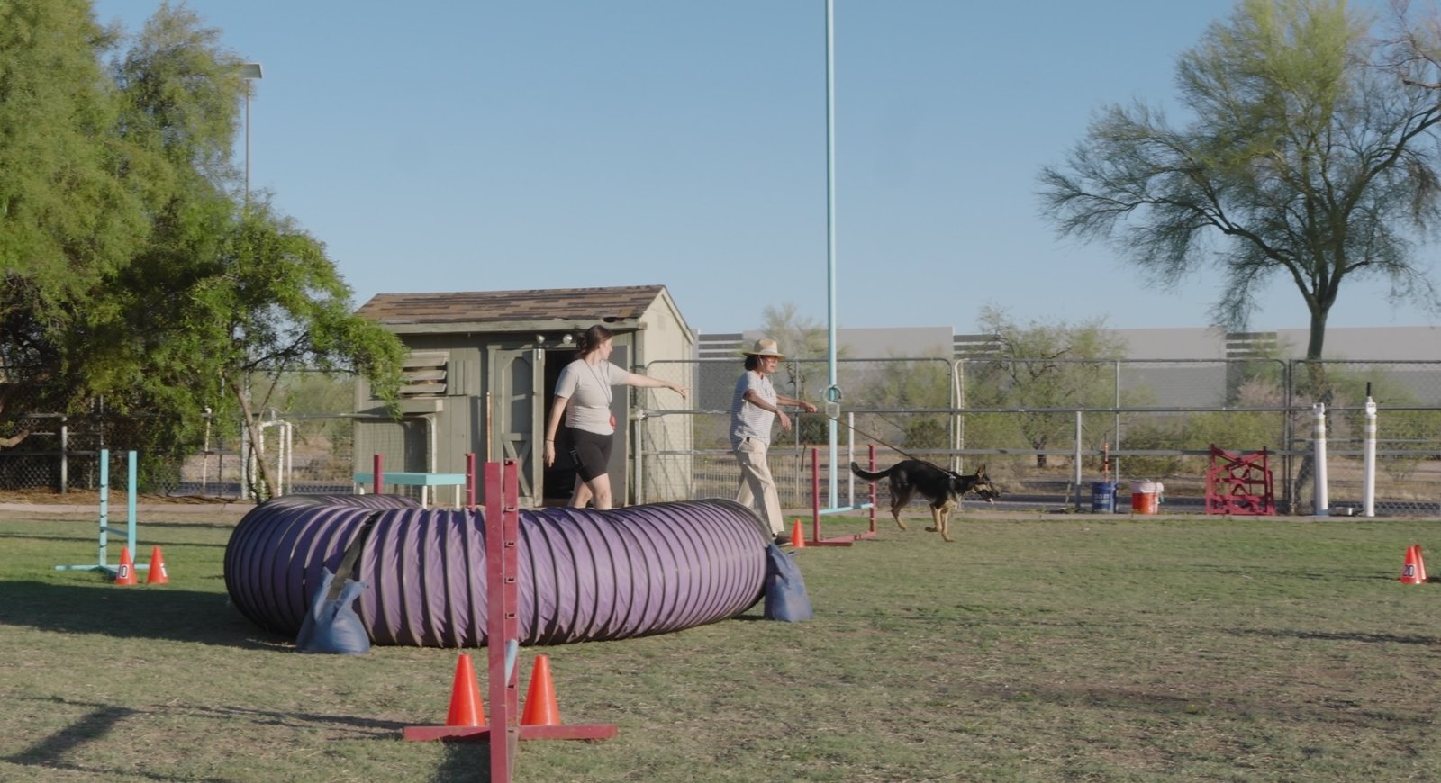 A wide outdoor agility field at Cave Creek with a handler by a tunnel and jumps and a dog working, the high-desert campus between two locations for Rio Verde families.