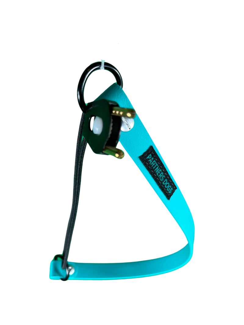 E-Collar Strap w/ Bungee, Partners Dogs - Orange (PV012)