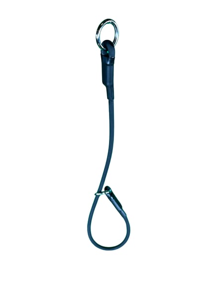 Slip Lead Leash, PartnersxValorWear