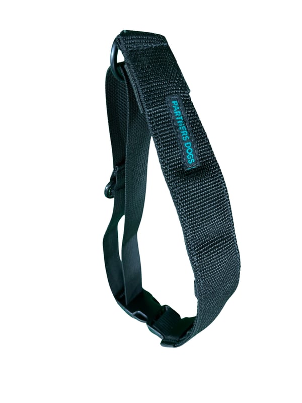 Partners Dogs Nylon Collar