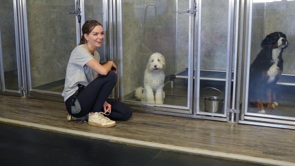 Partners Dogs trainer handing off Transform Camp training to the owner during a private demo lesson
