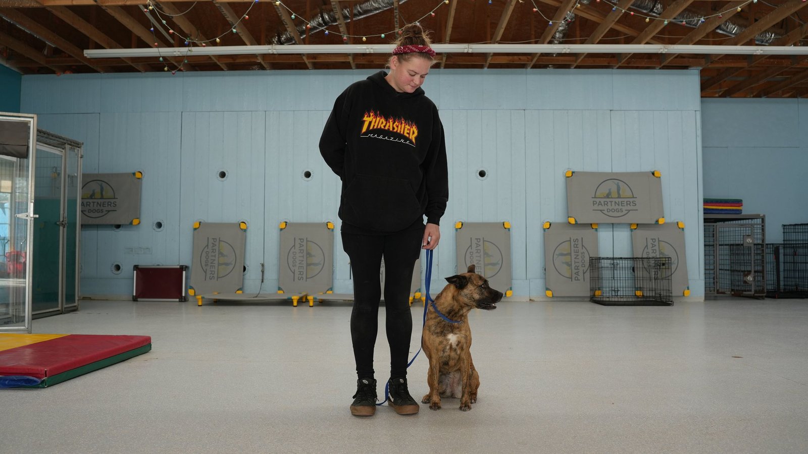 A handler stands in heel position looking down at a brindle pit-bull-type dog sitting attentively at her side on the indoor Scottsdale training floor, the steady result families choose Partners for.