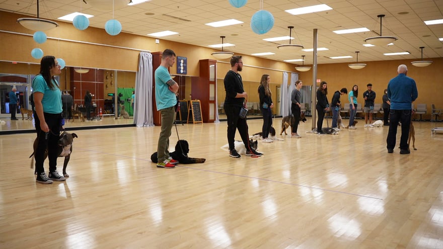 A wide indoor Scottsdale group class in session, a trainer demonstrating with a black dog while students and dogs watch.