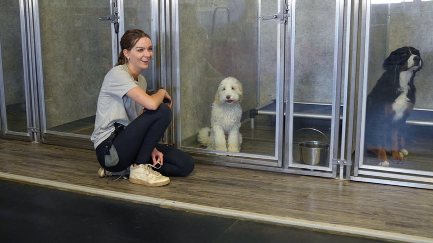 A staff member kneels and smiles beside a white doodle by the glass kennel doors, a warm and welcoming moment.