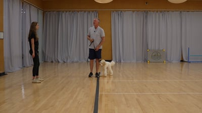 A trainer works a white doodle through a heel exercise in an indoor Partners Dogs training room while a client watches and learns the cues, the facility-based side of the in-home-versus-facility training decision.