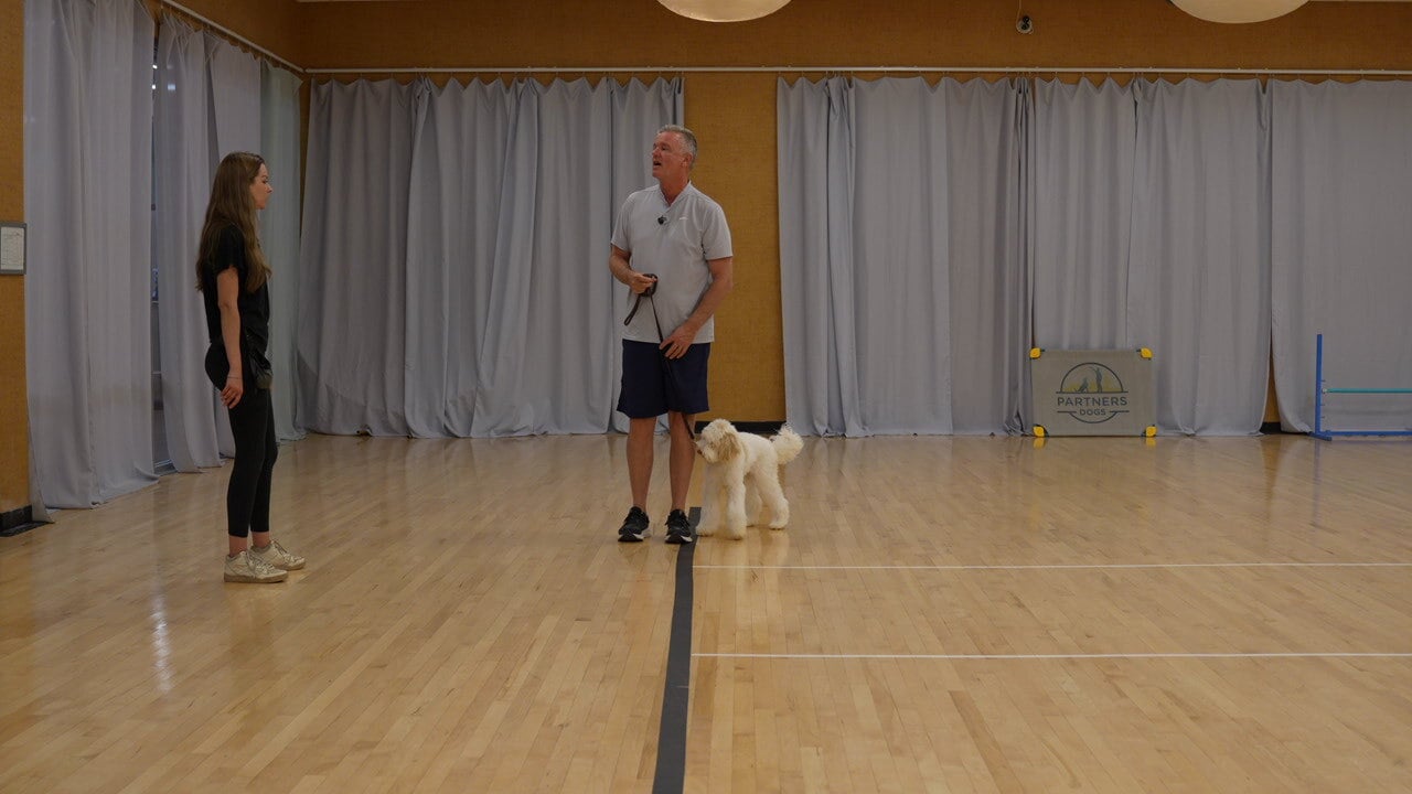 An instructor stands with a small white dog in the indoor Scottsdale training hall, reading the dog before choosing the approach.