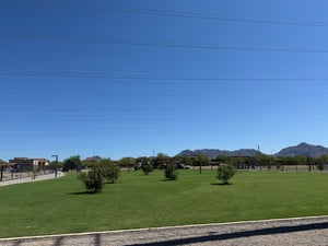 A dog trotting alone across an open turf cell at Thompson Peak Dog Park in Scottsdale, the kind of space where a park scuffle can happen fast