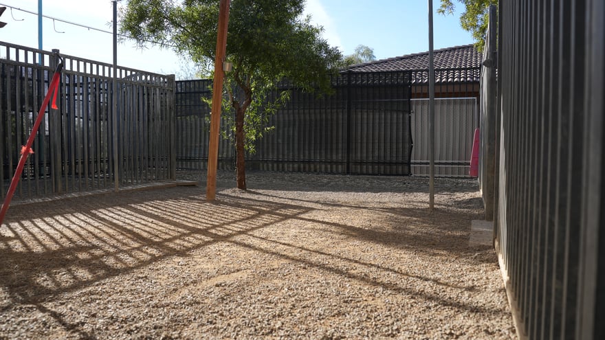 An outdoor enrichment yard with a shade structure and secure perimeter fence, part of the walkable Scottsdale campus.