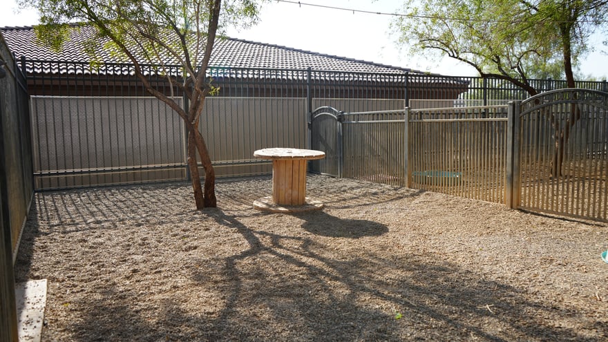 A shaded outdoor boarding yard with a spool table and desert trees at the training facility.