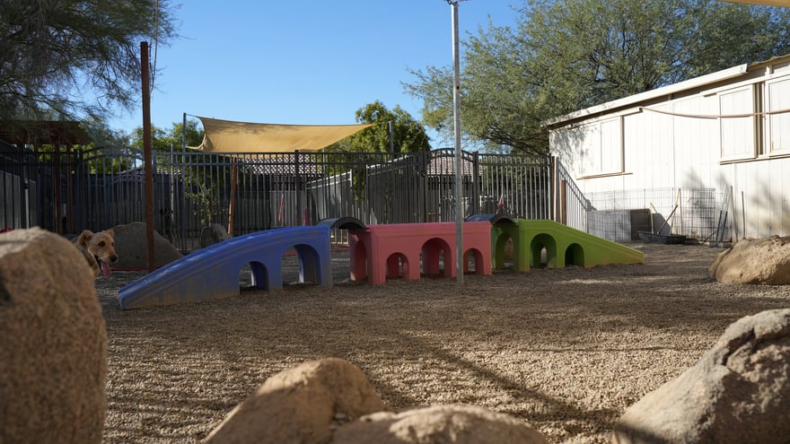 The Cave Creek enrichment yard set with colorful pastel play houses and a shade sail over gravel.