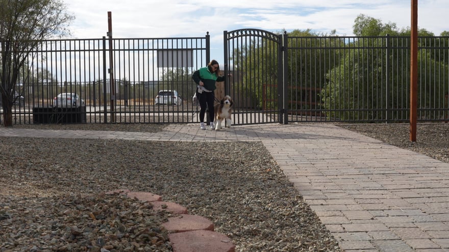Handler walking a dog through the gated Cave Creek desert entrance at Partners Dogs