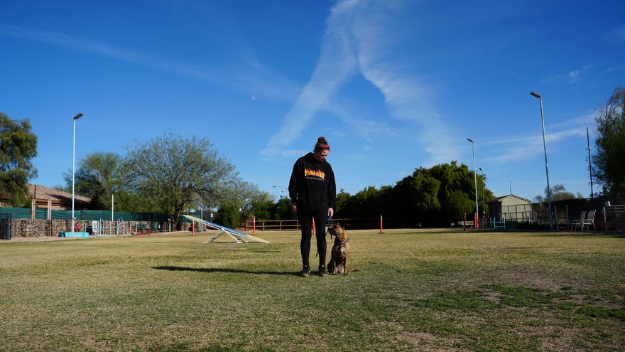 A handler and a young tan dog working together on the open grass training field at the Cave Creek campus, with agility equipment and ranch fencing behind them.
