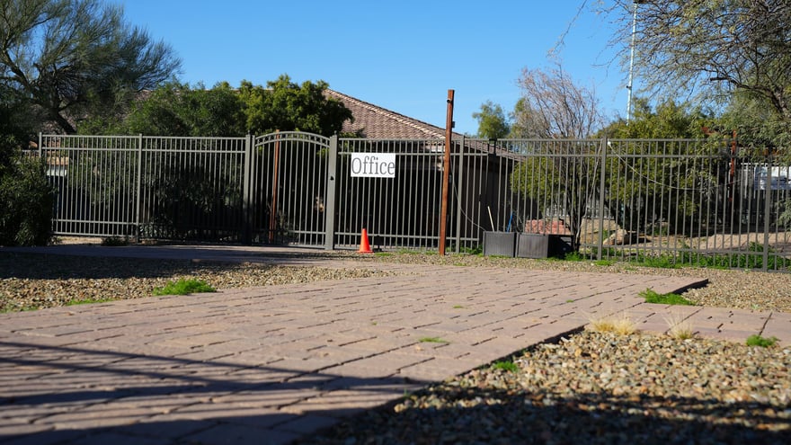The wrought-iron entrance gate at Partners Dogs Cave Creek with an Office sign, paver driveway, and desert landscaping.