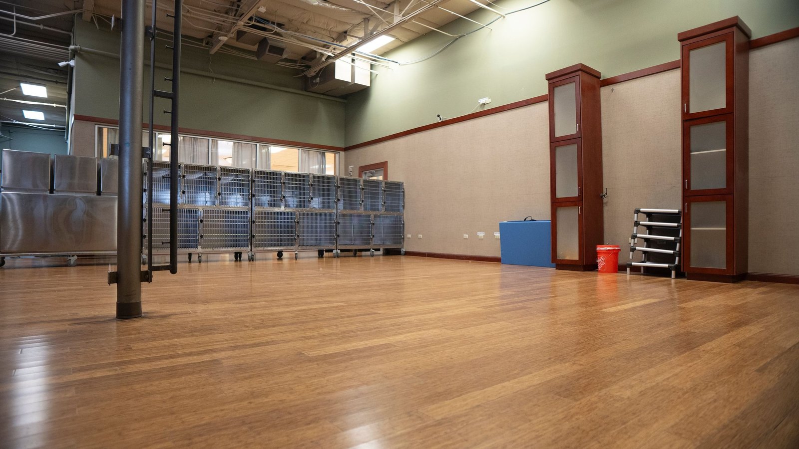 A wide, bright empty indoor training room at the Scottsdale Shea campus with kennels at the back, a clean shot up the 101 from Tempe.