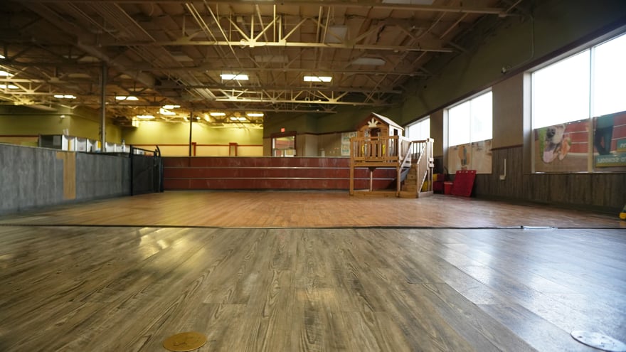 Bright indoor training hall with large windows and a polished wood floor at the Partners Dogs Scottsdale facility.