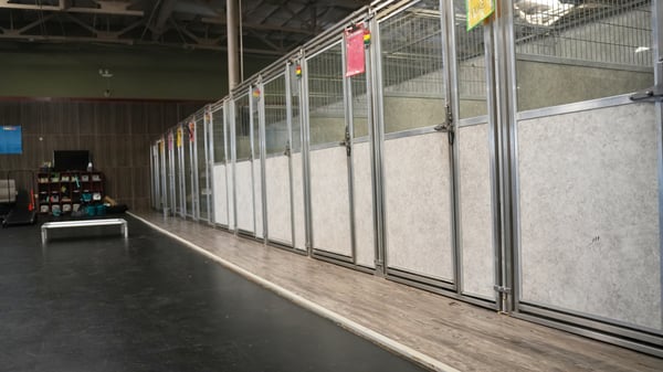 Luxury boarding suites at Partners Dogs Scottsdale