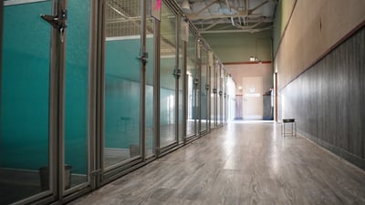 A bright indoor hallway of clean, glass-front boarding suites at Partners Dogs Scottsdale, the kind of staffed, on-site facility a pet-sitting app can't provide