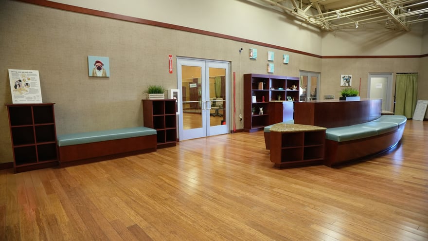 The warm, bright reception and lobby at the Scottsdale campus with shelves, glass doors and seating.