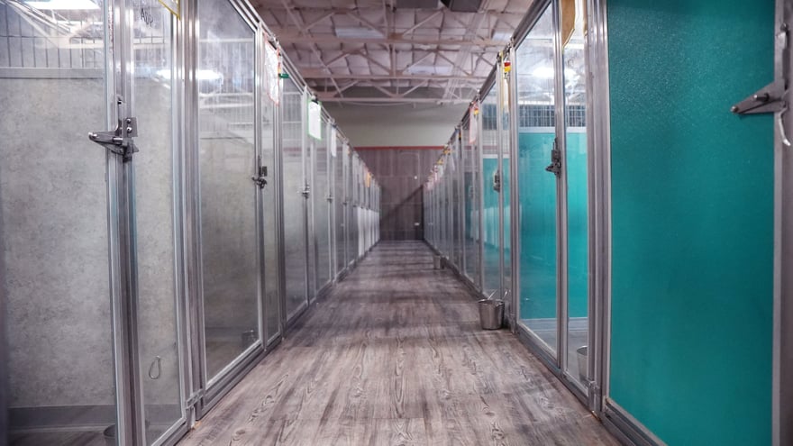 Teal glass-front luxury boarding suites lining both sides of a wide corridor at the Scottsdale campus