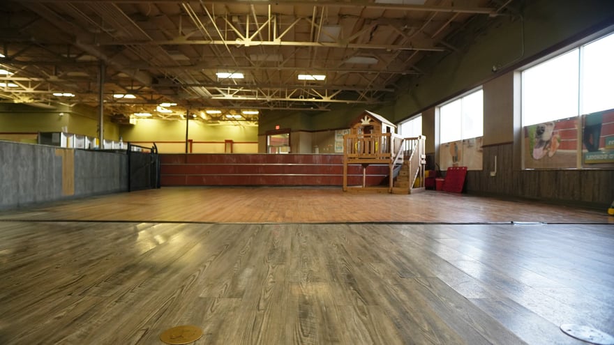 Bright indoor training hall with large windows and a polished wood floor at the Partners Dogs Scottsdale facility.