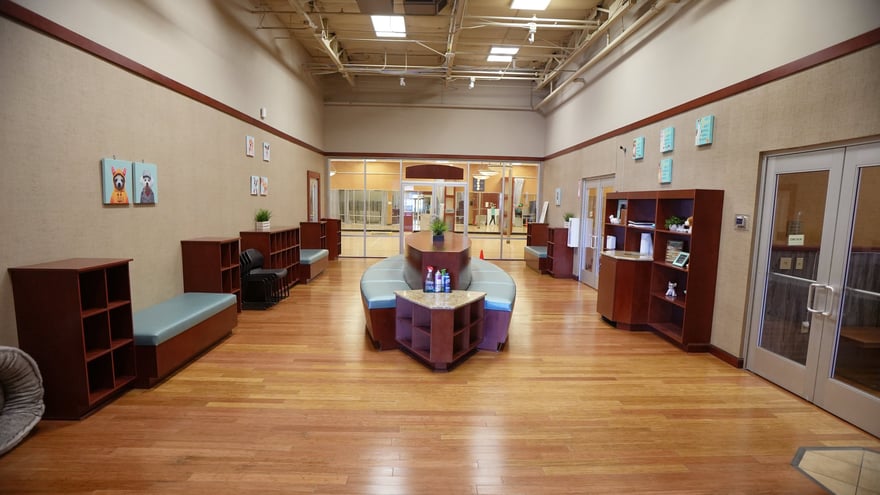 The bright Scottsdale lobby and welcome lounge at Partners Dogs, with seating and retail shelves