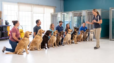 A trainer leads a line of nine handlers and their dogs, including Golden Retrievers, a Labrador, a German Shepherd, and mixed breeds, during a Partners Dogs group class.