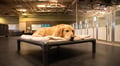 Boarding Night (Luxury Suite) thumbnail 2