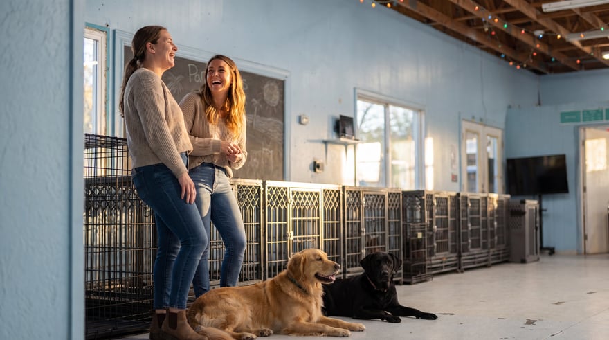 Two Partners Dogs team members laughing together beside a resting golden retriever and black Labrador in the training facility.